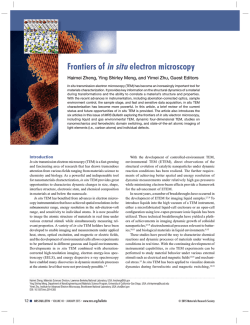 Frontiers of in situ electron microscopy