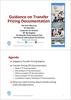 Seminar Slides on Transfer Pricing Documentation