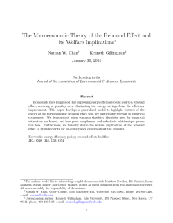 The Microeconomic Theory of the Rebound Effect