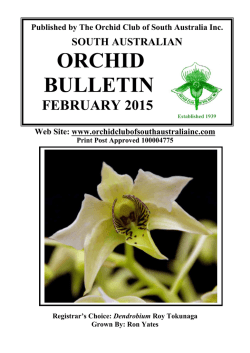 February 2015 - Orchid Club of South Australia Inc.