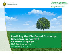 bioenergy in context by dr Martin Junginger (pdf)