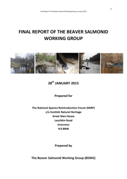 final report of the beaver salmonid working group