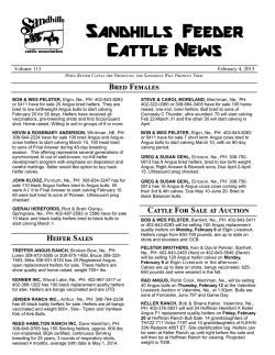 Cattle For Sale - Sandhills Cattle Association