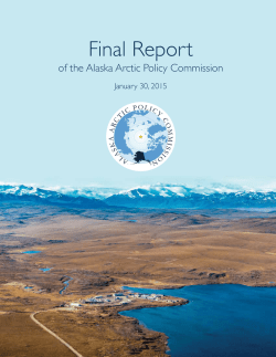 Final Report - The Arctic Journal