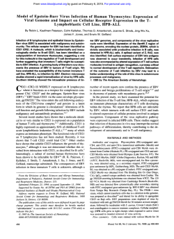 Model of Epstein-Barr Virus Infection of Human Thymocytes