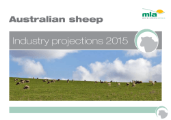 View the 2015 sheep industry projections document here