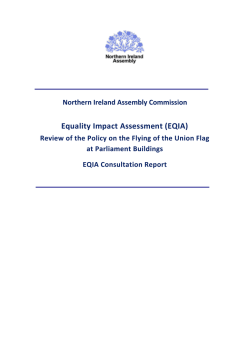 EQIA Consultation Report - The Northern Ireland Assembly