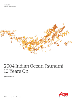 2004 Indian Ocean Tsunami - Thought Leadership