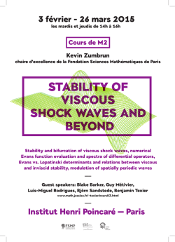 stability of viscous shock waves and beyond