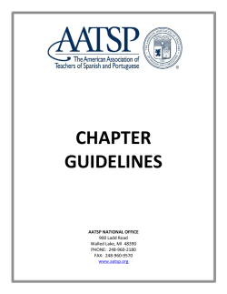 Chapter Guidelines
