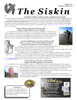 February Siskin - Siskiyou Audubon Society