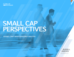Small Cap Perspectives (PDF)