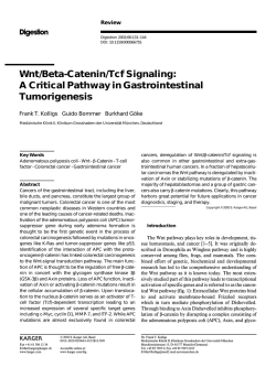 Wnt/Beta-Catenin/Tcf Signaling: A Critical Pathway in
