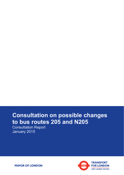 205 and N205 consultation report