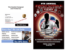 Download Flyer - American Karate Association