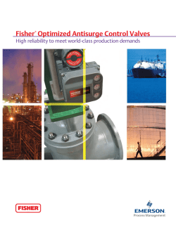 Fisher Optimized Antisurge Control Valves