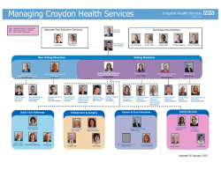 Croydon Health Services Structure Chart