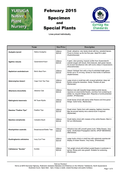 Specimen February 2015 Special Plants