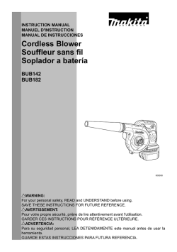 Cordless Blower Souffleur sans fil Soplador a batería