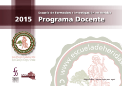 Programa Docente 2015
