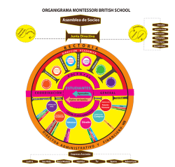 m b organigrama montessori british school