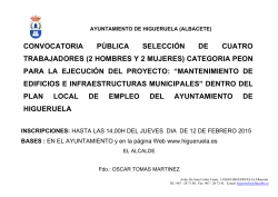 04. Página Web Cartel - Ayuntamiento de Higueruela