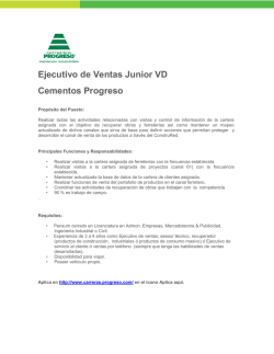 Ejecutivo de Ventas Junior VD Cementos Progreso