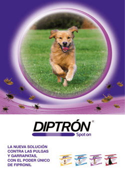 diptrón - diptron spot on