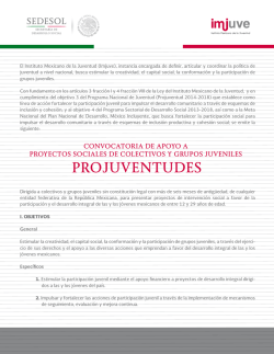 PROJUVENTUDES - Instituto Mexicano de la Juventud