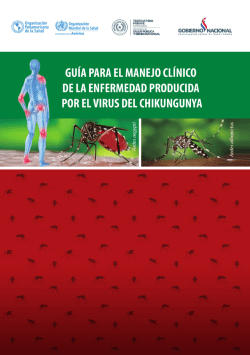Qué es el Chikungunya? - Ministerio de Salud Pública y Bienestar
