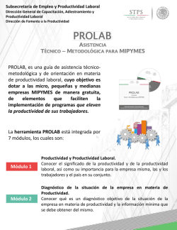 Metodológica Productividad Laboral “PROLAB”.