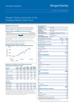 Morgan Stanley Investment Funds Emerging Markets Debt Fund