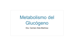 Metabolismo del Glucógeno