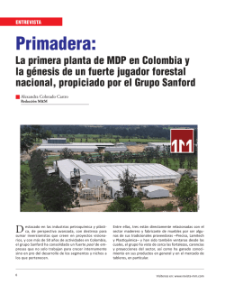 Entrevista: Primadera - Revista El Mueble y La Madera