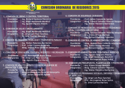 Comision de Regidores - Municipalidad Provincial de Abancay