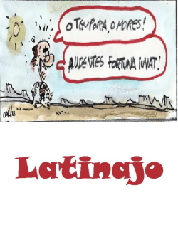 Latinajo - pgs