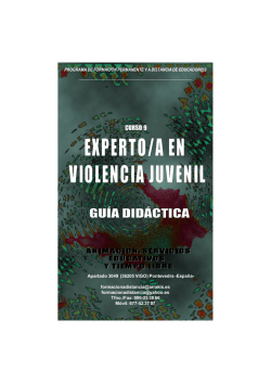 Curso Experto en Violencia Juvenil. Guia Didactica