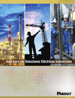 Industrial Electrical Solutions - Spanish Version
