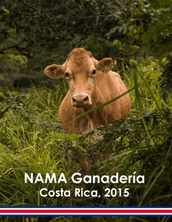 NAMA Ganadería, Costa Rica 2015 - Ministerio de Agricultura y