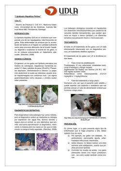 Lipidosis hepática felina