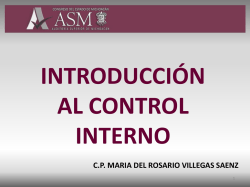 Introduccion Al Control Interno