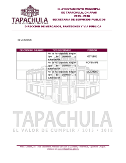 h. ayuntamiento municipal de tapachula, chiapas 2015