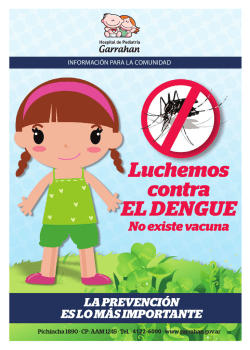 Luchemos contra el Dengue – No existe vacuna