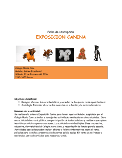 EXPOSICION CANINA - Malabo