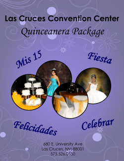Quinceanera Package Felicidades Mis 15 Fiesta Celebrar