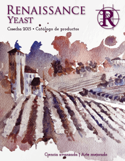 catálogo - Renaissance Yeast