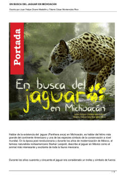 en busca del jaguar en michoacán - Saber más