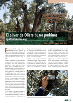 El olivar de Oliete busca padrinos. Apadrinaunolivo.org.
