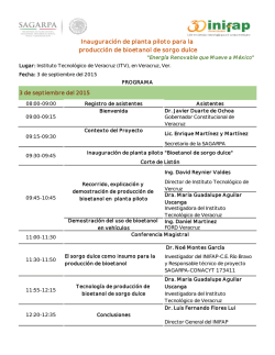 Programa PDF - Instituto Tecnológico de Veracruz