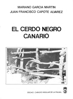 El cerdo negro canario - cochinonegrocanario.es